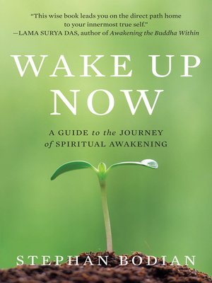 cover image of Wake Up Now